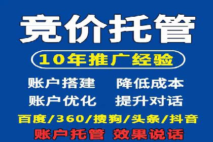 精准投放，高效转化：关键词竞价排名案例解析